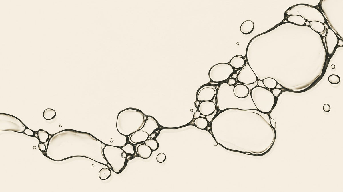 L'architecture de la formule