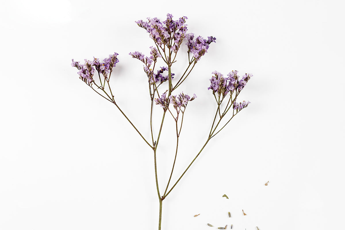 Tu cuerpo necesita #detox en primavera